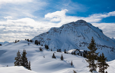 Alpenlandschaft winterlich tannen berge