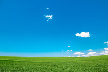 Obraz na płótnie Canvas Meadow field with clouds and blue sky. Beautiful minimal summer landscape of the hills.