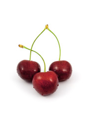 cherry on top of a white background.