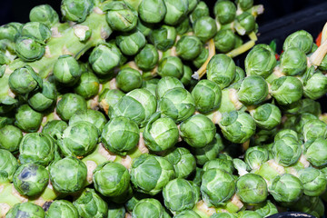 The Brussels sprouts stalk