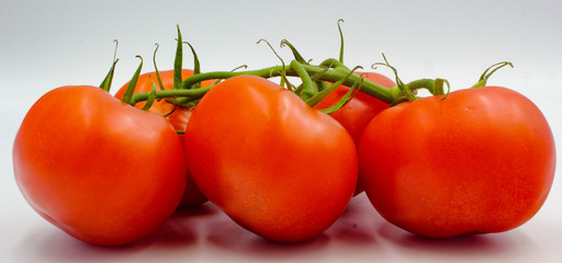 ripe fresh bunch red tomato on vine panoramic isolated on white background