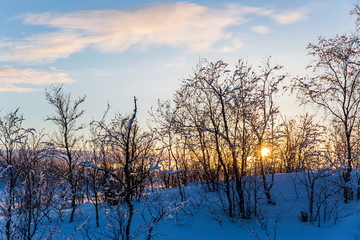 Naklejka na ściany i meble Winter sunset in Nuorgam, Lapland, Finland
