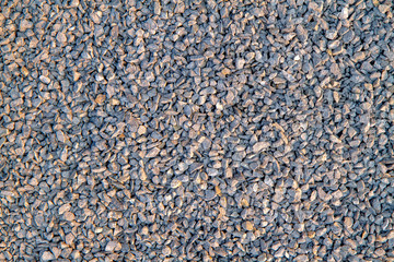 Many type of gravel pebble for Texture Background