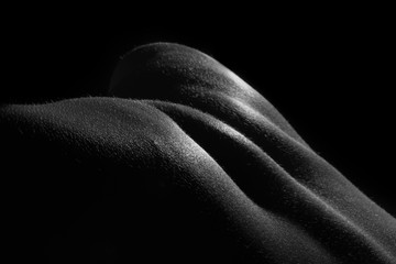 Bodyscape - body photography