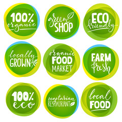 Big vector set of vegetarian labels and stickers with lettering.