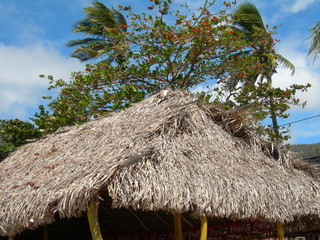 A typical tiki roof of a hut or small cabin