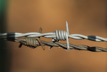 Close up view on barbed wire on a field with a soft bokeh in the background