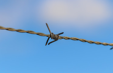 Close up view on barbed wire on a field with a soft bokeh in the background