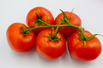 ripe fresh bunch red tomato on vine panoramic isolated on white background