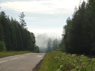 morning road fog