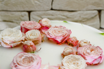 
Pink roses on a white plate in a plate with milk