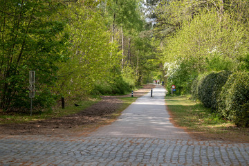Cycling highway on an old converted railway line in Bruges between the communities of Steenbrugge and Maldegem, Belgium.