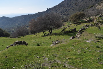 Fototapeta na wymiar mountain landscape in greece