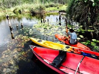 kayak on the river