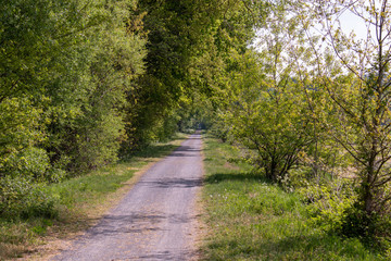 Fototapeta premium Cycling highway on an old converted railway line in Bruges between the communities of Steenbrugge and Maldegem, Belgium.