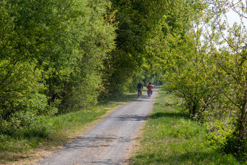 Obraz premium Cycling highway on an old converted railway line in Bruges between the communities of Steenbrugge and Maldegem, Belgium.