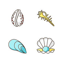 Different sea shells RGB color icons set
