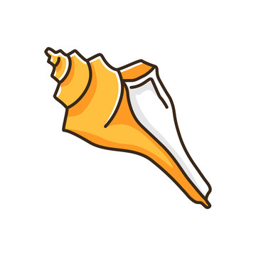 recommend clip art: Triton shell orange RGB color icon