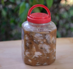 Pickled fish in a plastic jar Thai folk food is made from fermented fish with leftover and roasted rice.
