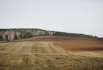 Obraz premium rural landscape with a field