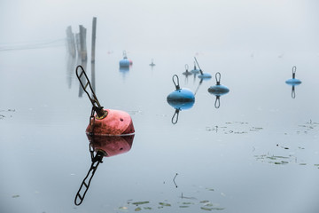 buoy in fog - obrazy, fototapety, plakaty