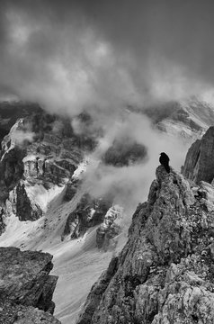 Bird Perching On Mountain Against Cloudy Sky At Dolomites © andrew lightfoot/EyeEm