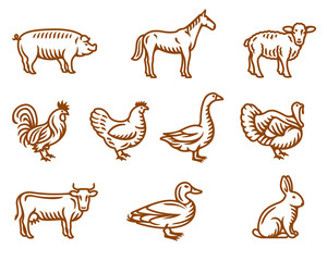 Set of farm animals and birds vector isolated illustrations for groceries, meat stores, restaurant menu © Vladislav Troshin