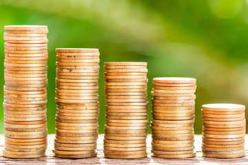Money coins stack growing graph with green tree bokeh background