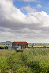 Fototapeta na wymiar Paesaggio rurale e cielo nuvoloso