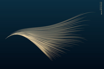 Abstract vector zen art by gold brush stroke look like wing isolated on dark teal blue background © korkeng