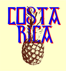Costa Rica pineapple graphic design vector art