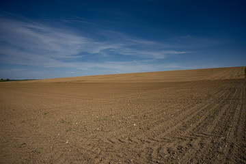 Naklejka premium Trockenes Feld