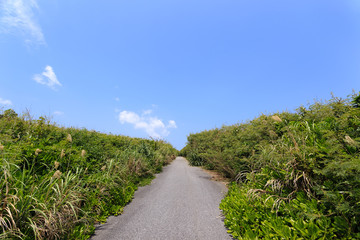 日本最南端、沖縄県波照間島の道