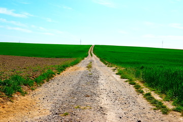 leere Eifelstraße im Frühling