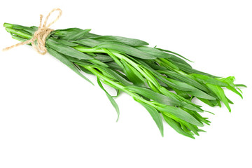Bunch of tarragon leaves isolated on white background. Artemisia dracunculus