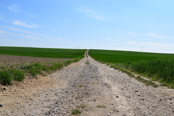 leere Eifelstraße im Frühling