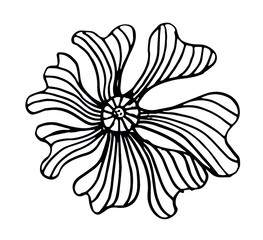 Zentangle floral flower hand drawing print embroidery graphic design vector art