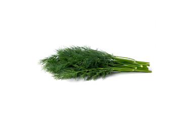 Dill on a white background, fresh herbs