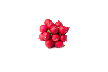 fresh radish isolated on white background