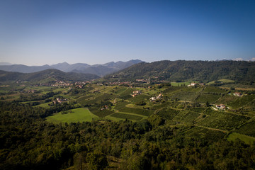 Colline di Scanzo con vigneti