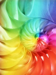 nautilus shell rainbow stock Fibonacci stock photo