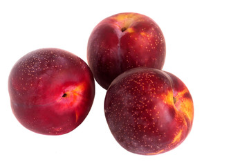 Fruits of red juicy plum isolated on a white background.