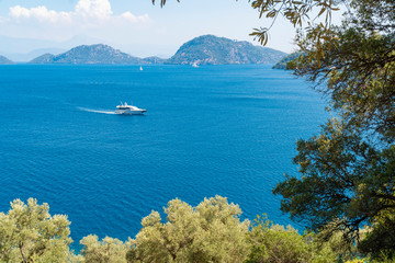 Fototapety na wymiar - Fototapeta24.pl