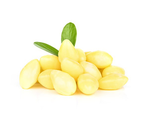  Ginkgo biloba  isolated on white background