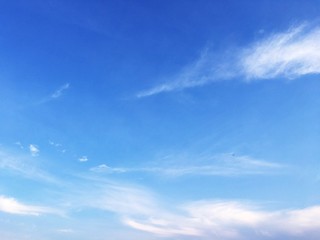 Fototapeta premium She is the sky that we turn to look whenever we see.