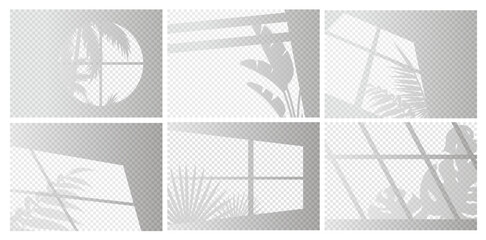 Window lights vector illustration set. Sunlight or shadow transparent overlay effect from window frames and tropical plant branch, palm tree leaves on room wall, ceiling or floor. Realistic background