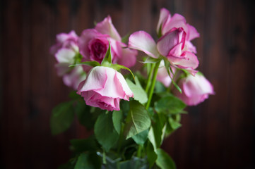 pink roses wither in a vase on a dark background