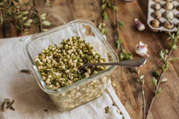 Sprouted Asian beans in a glass jar on a wooden table