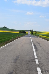 leere Eifelstraße im Frühling