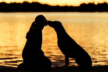 silhouette of girl and dog kissing in sunset, friendship concept